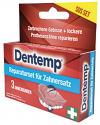 Dentemp® Repair Kit 
