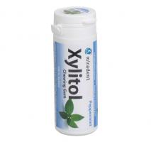 Xylitol Chewing Gum Dose 30 Stck Pfefferminz