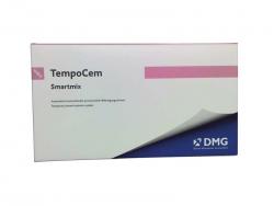 TempoCem Smartmix Packung 2 x 11 g Doppelspritze, 20 Smartmix-Tips