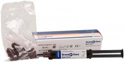 Grandio Core Dual Cure Packung 10 g QuickMix Spritze wei, Mischkanlen Typ 11, Aufstze Typ 4